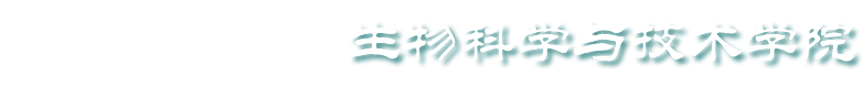 欧冠官网中文版